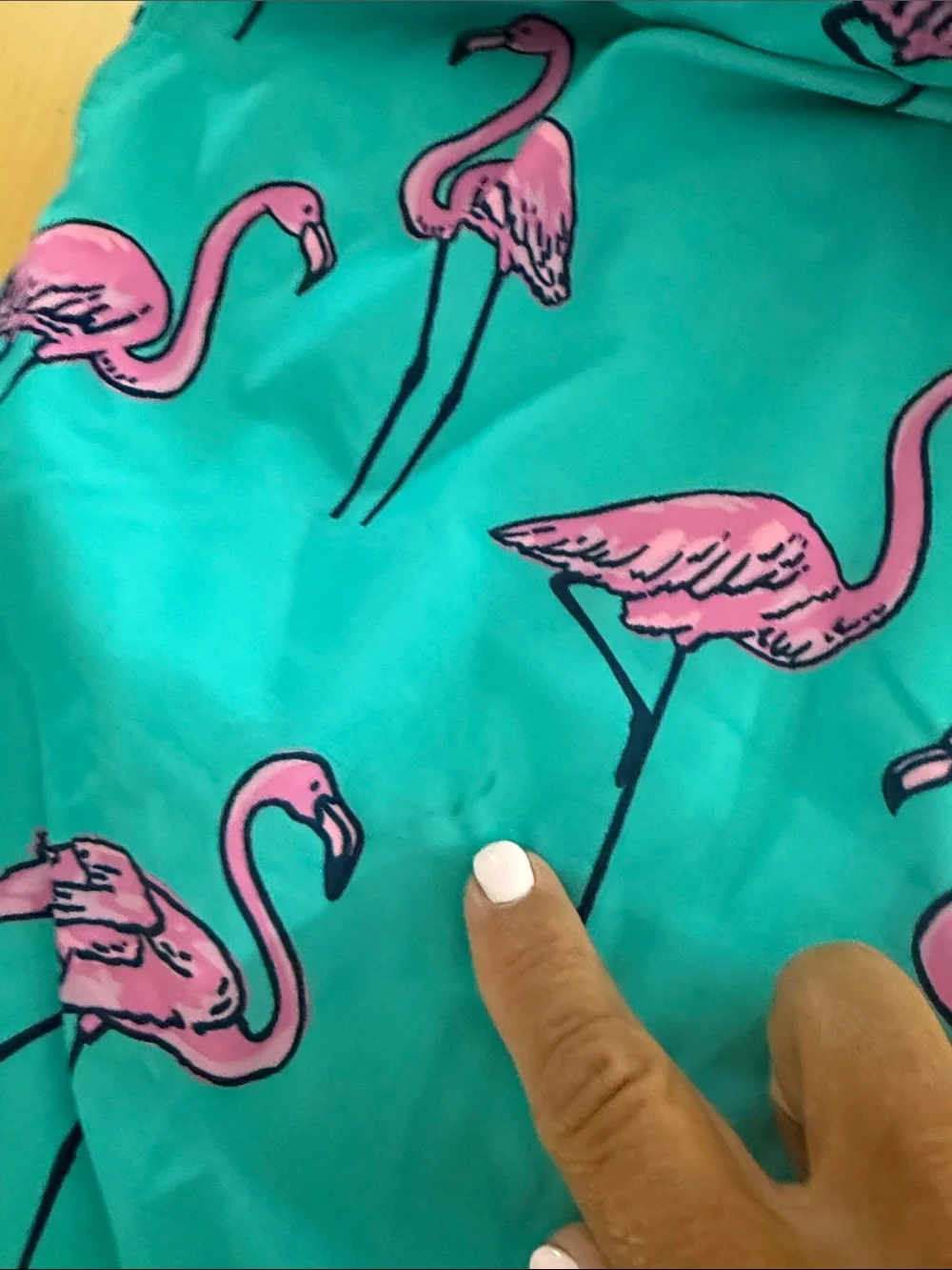 chubbies Turquoise Swim Trunks with Pink Flamingo Print